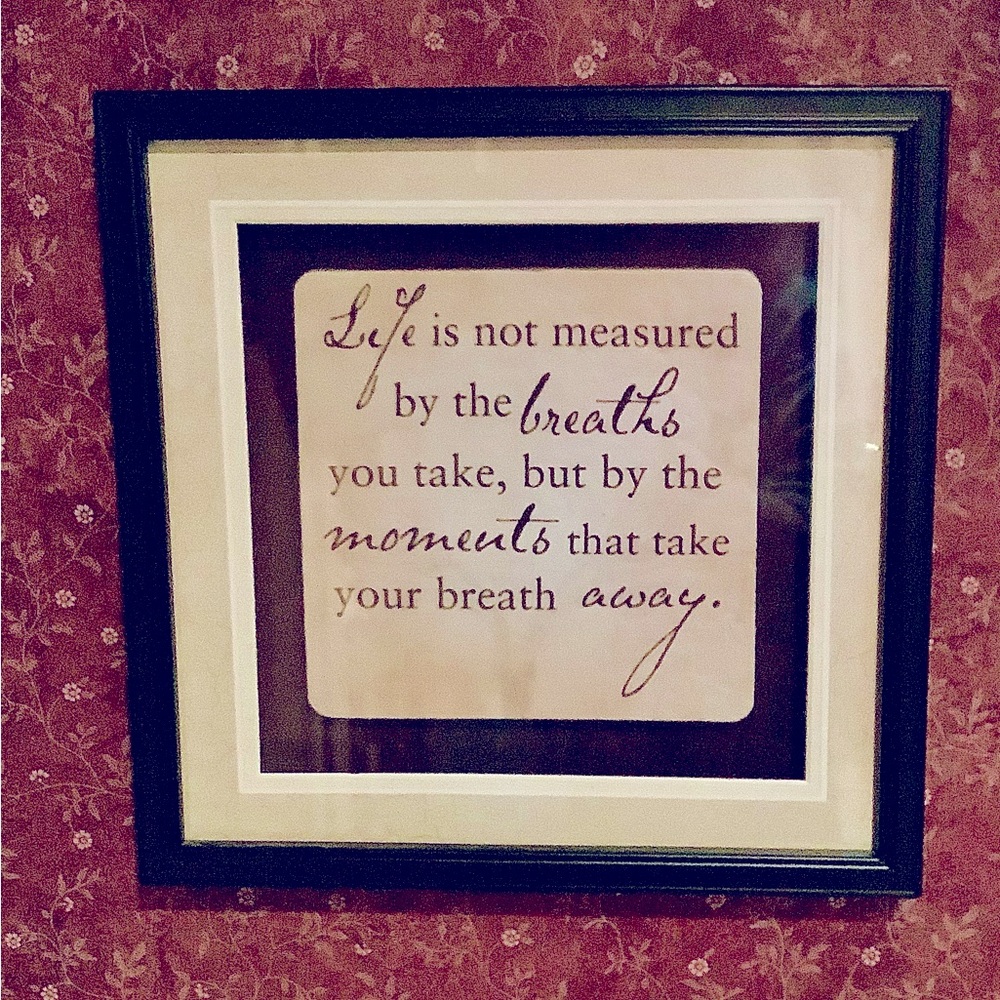 Inspirational Framed Wall Art 12”x12” Life is not measured…